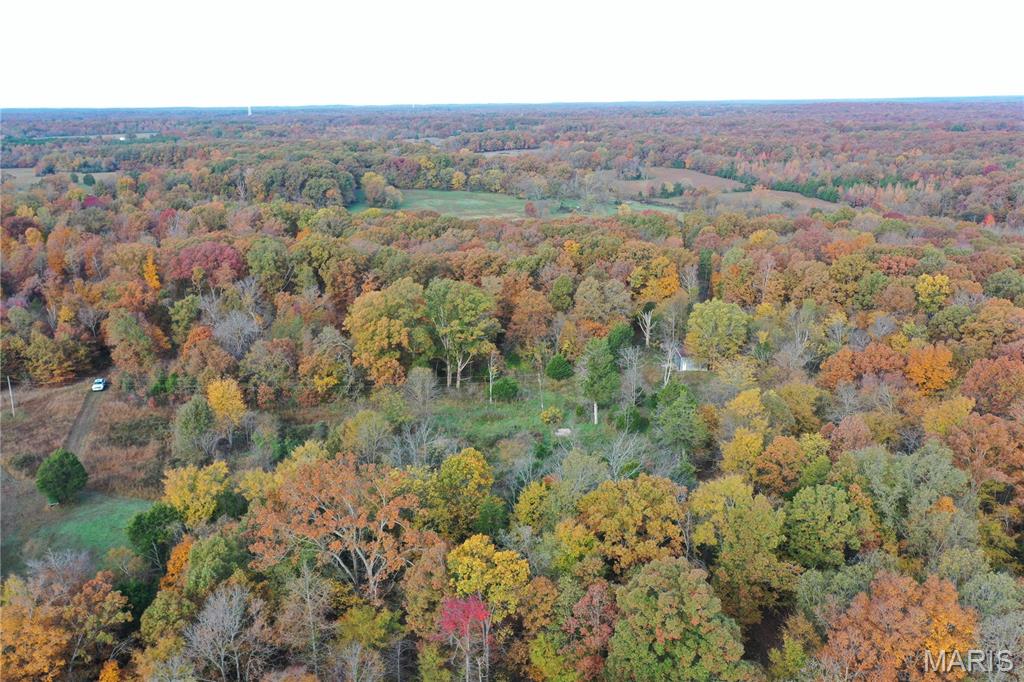 Tbd Tract 4 Bobwhite Lane Property Photo 10
