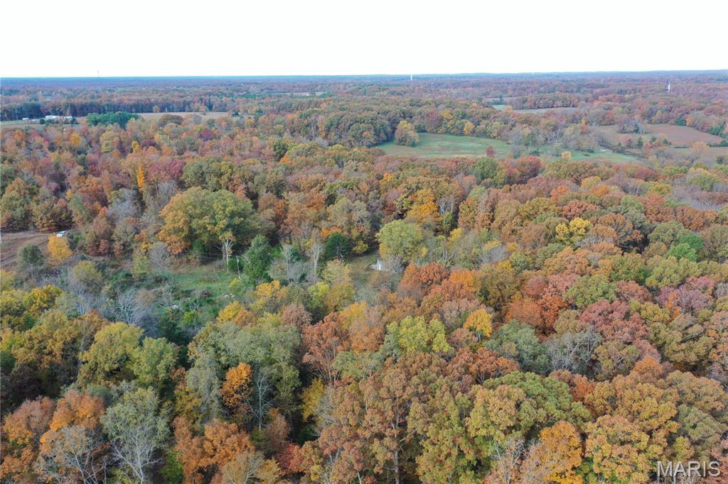 Tbd Tract 4 Bobwhite Lane Property Photo 11