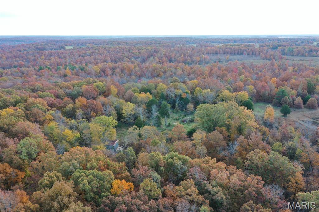 Tbd Tract 4 Bobwhite Lane Property Photo 13