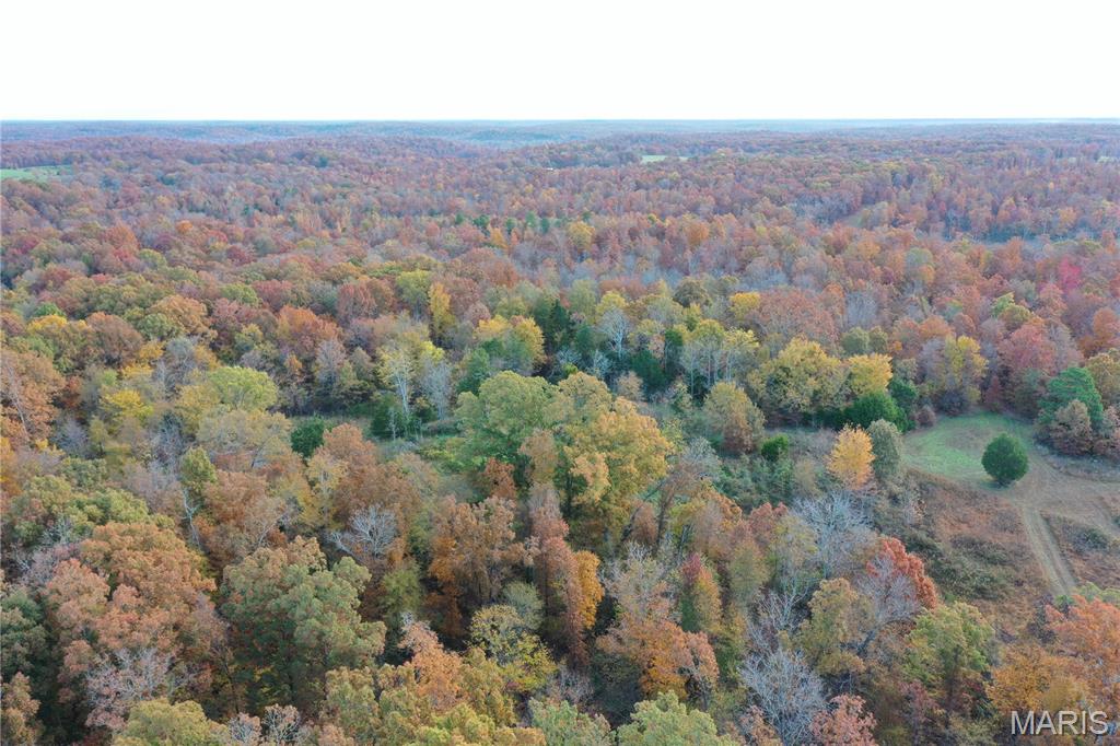 Tbd Tract 4 Bobwhite Lane Property Photo 14