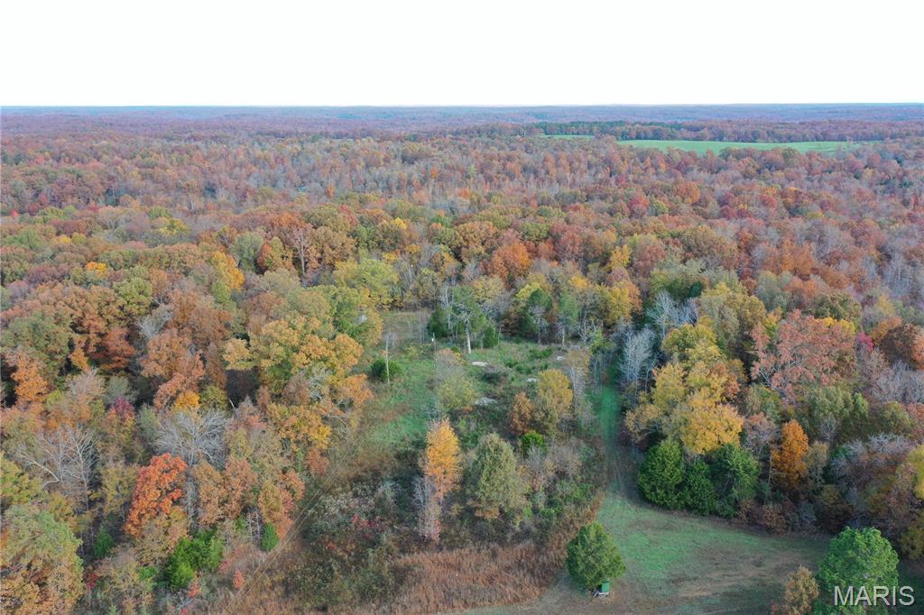 Tbd Tract 4 Bobwhite Lane Property Photo 15