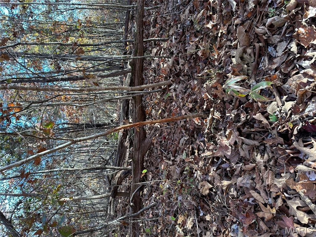 Tbd Tract 4 Bobwhite Lane Property Photo 17