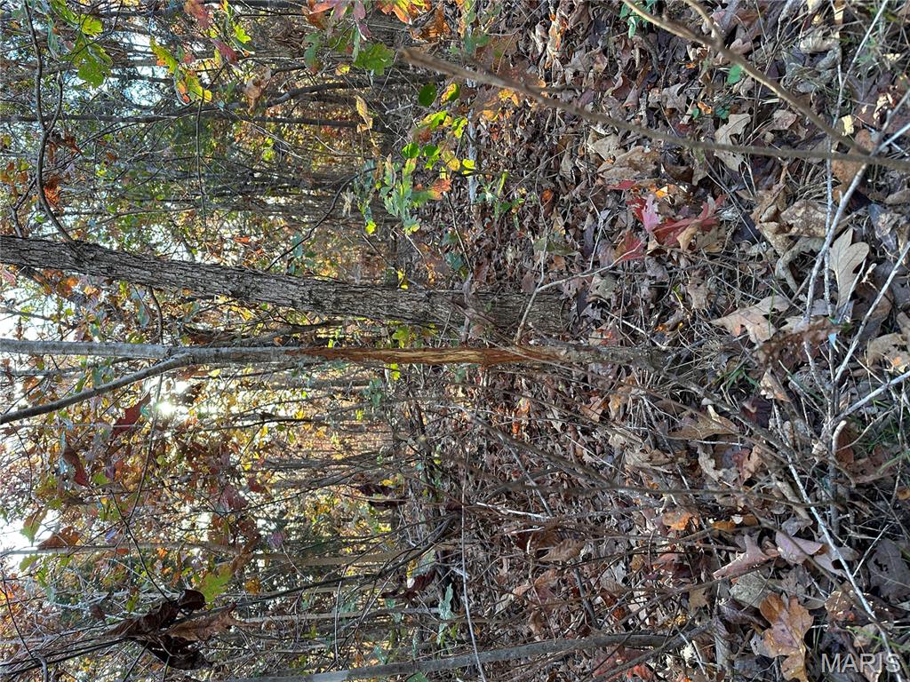 Tbd Tract 4 Bobwhite Lane Property Photo 18