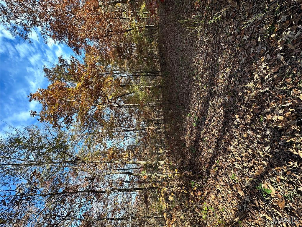 Tbd Tract 4 Bobwhite Lane Property Photo 20
