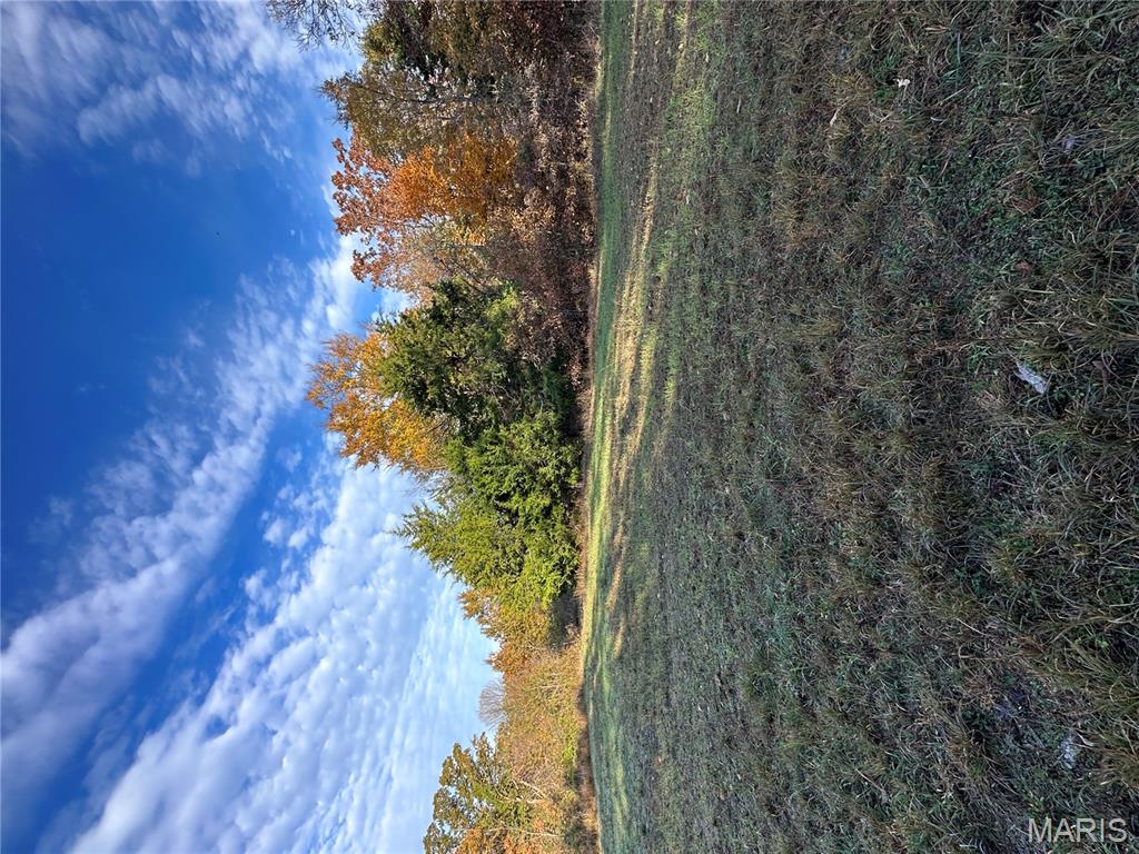 Tbd Tract 4 Bobwhite Lane Property Photo 21