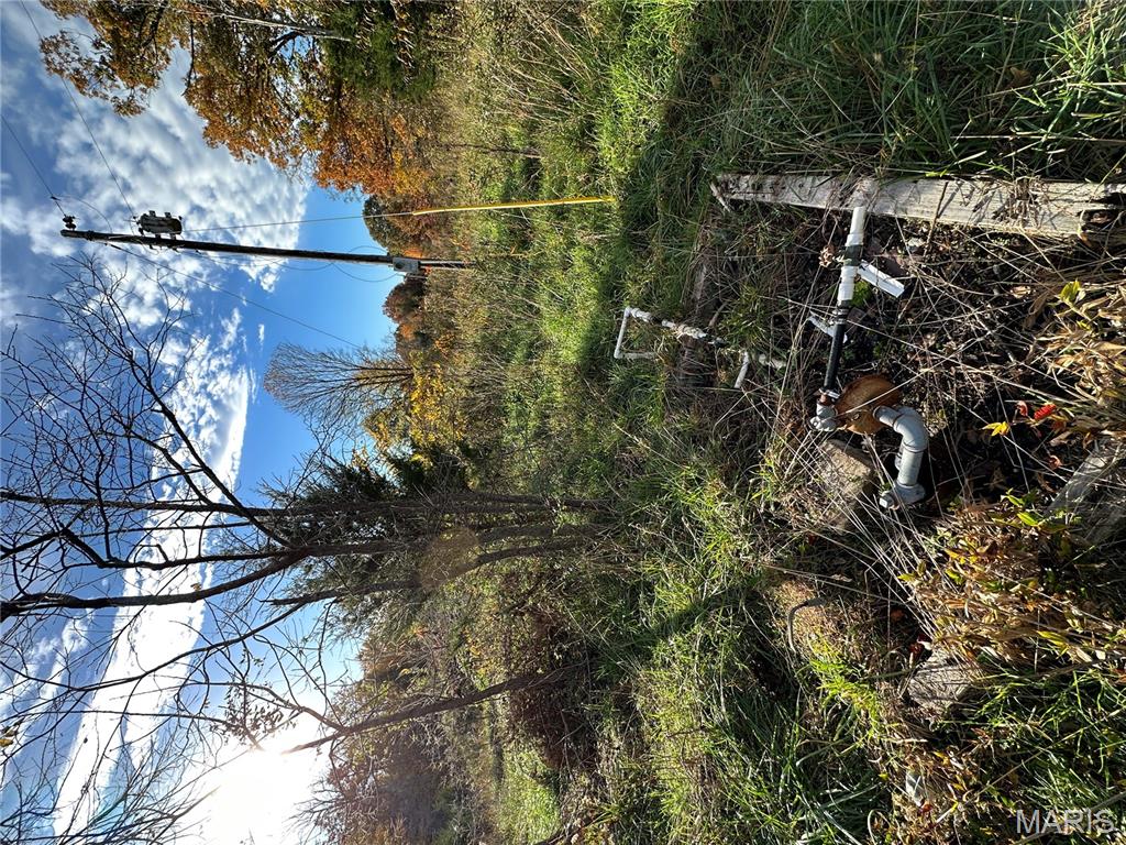 Tbd Tract 4 Bobwhite Lane Property Photo 27