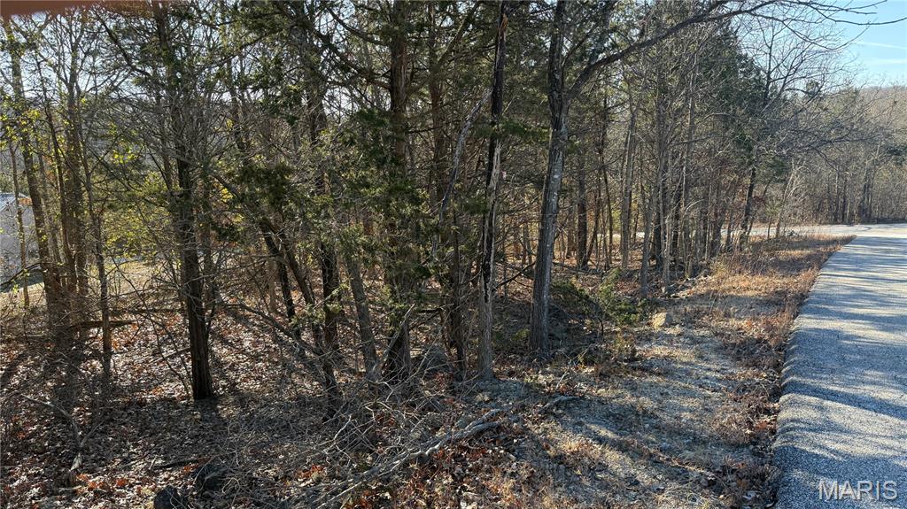 0 Sassafras Dr Property Photo 3