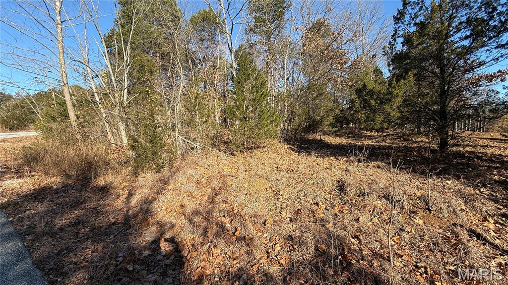 0 Sassafras Dr Property Photo 5