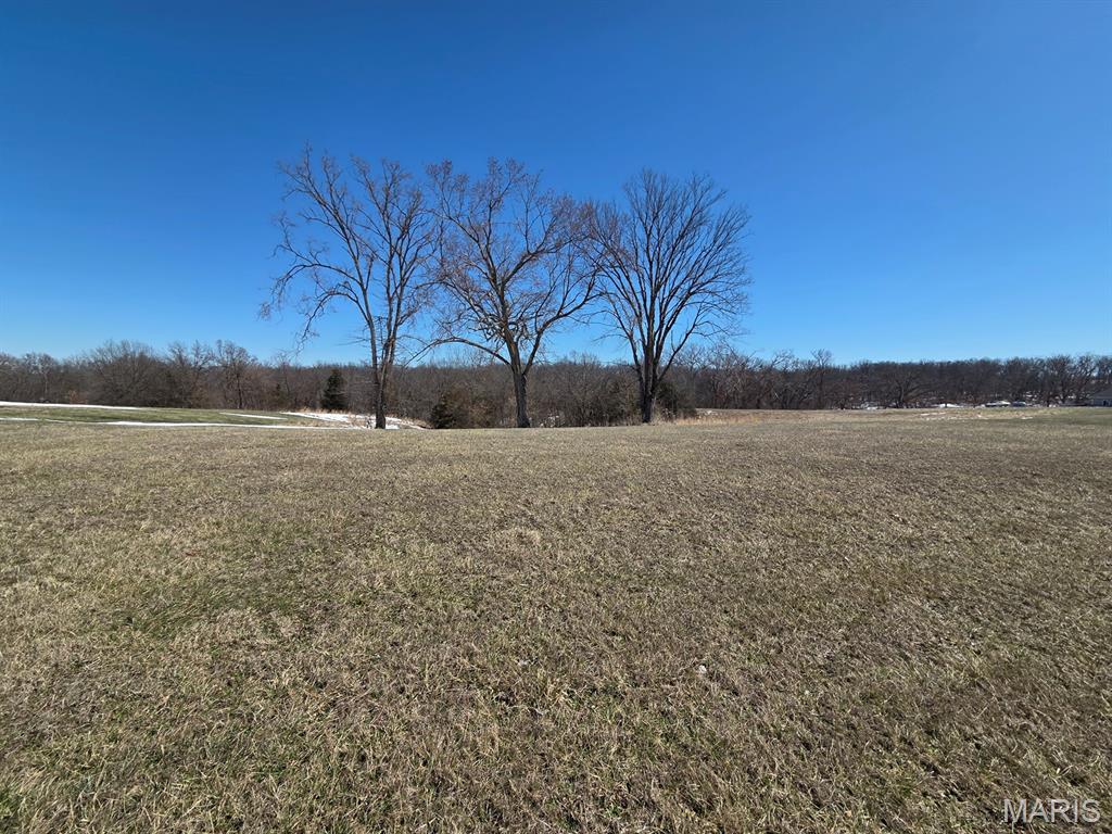 0 State Hwy 81 Property Photo 6