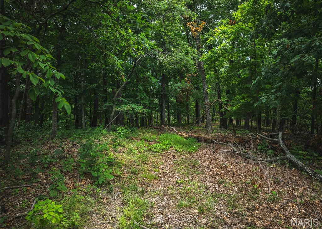 2 Trails End Trail Property Photo 6