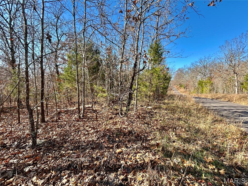Lots 12-17 County Road 4253