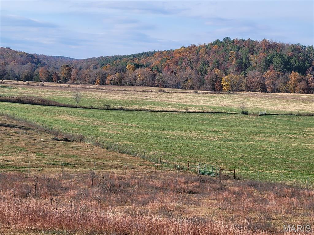319 County Road 708a Property Photo 55
