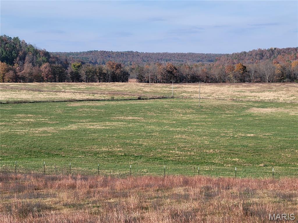 319 County Road 708a Property Photo 56
