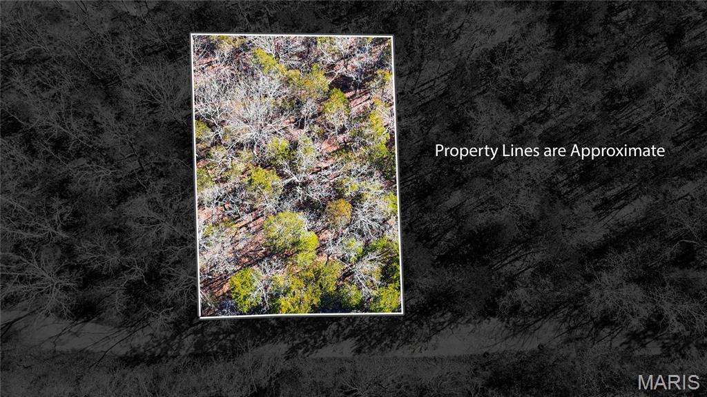10314 Lake Hill Trail Property Photo 1