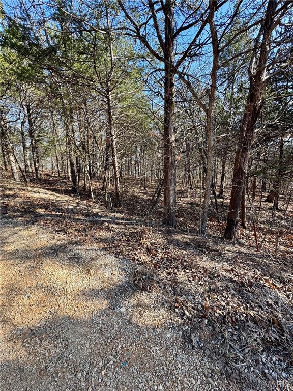 10314 Lake Hill Trail Property Photo 13