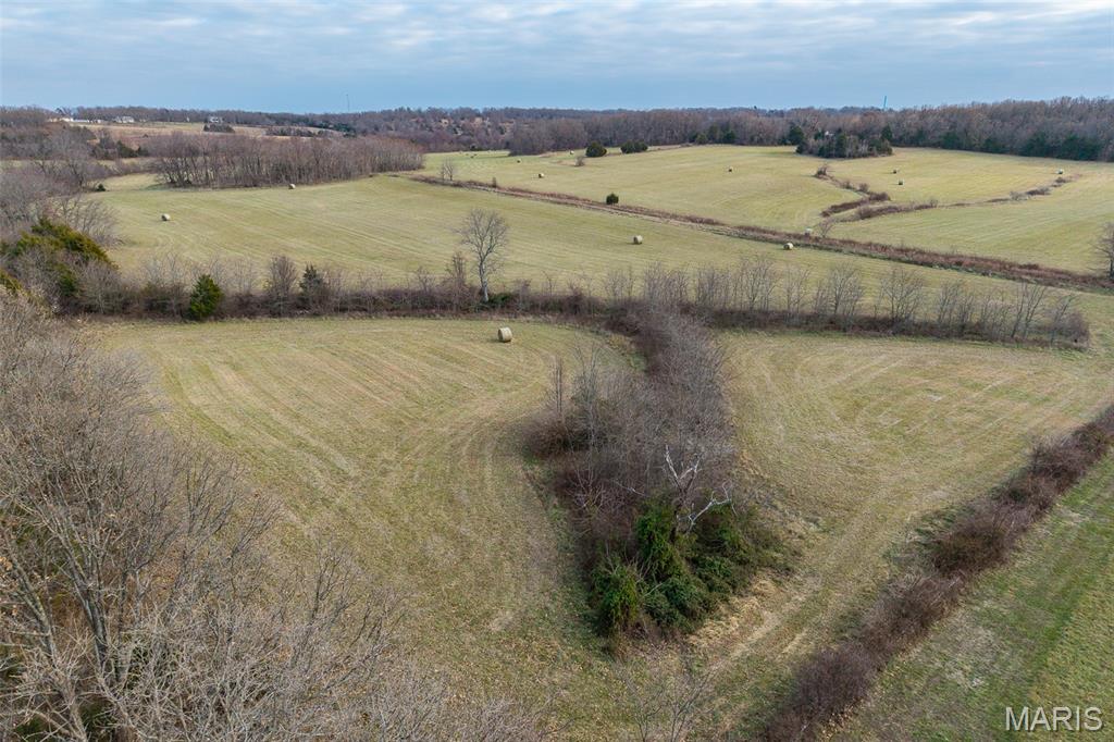 Tbd Pine Tree Dr Property Photo 49