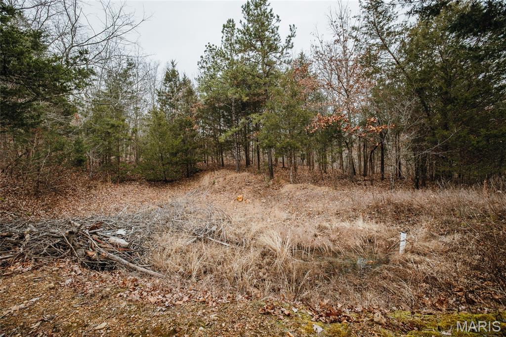 000 Highway C Property Photo 25