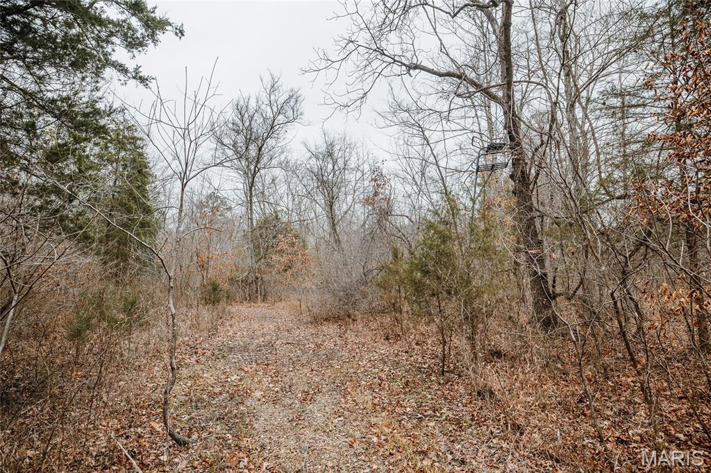 000 Highway C Property Photo 26