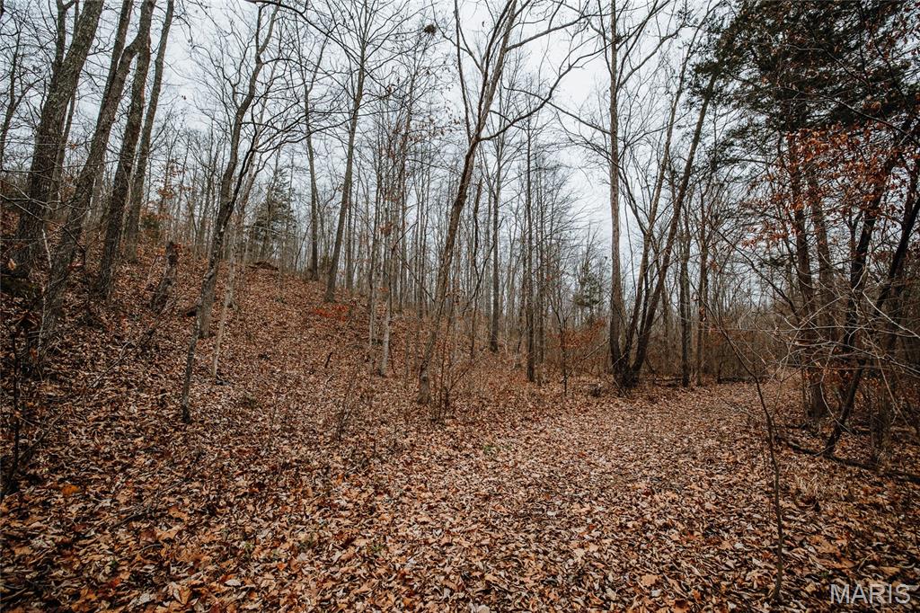 000 Highway C Property Photo 29