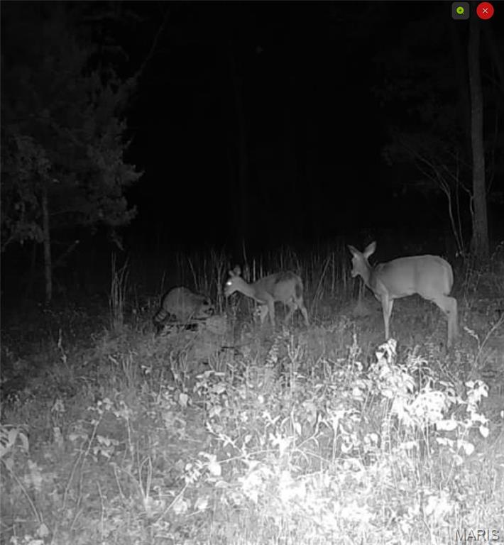 0 Highway 32 E. Property Photo 20