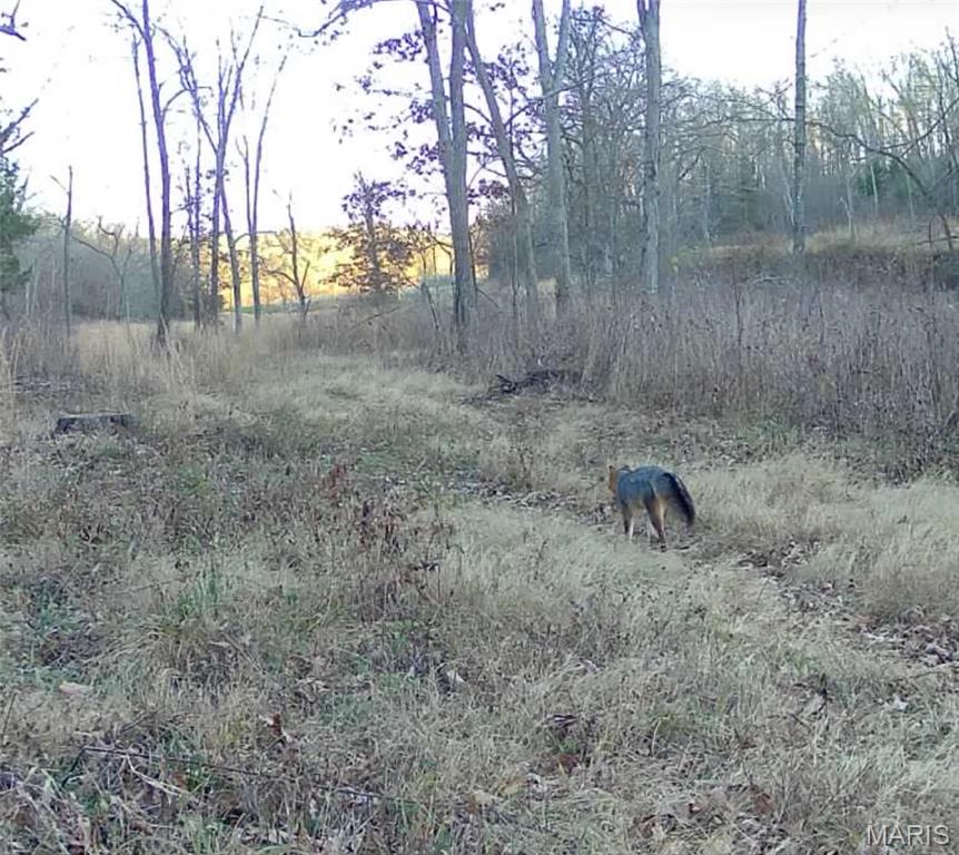 0 Highway 32 E. Property Photo 21