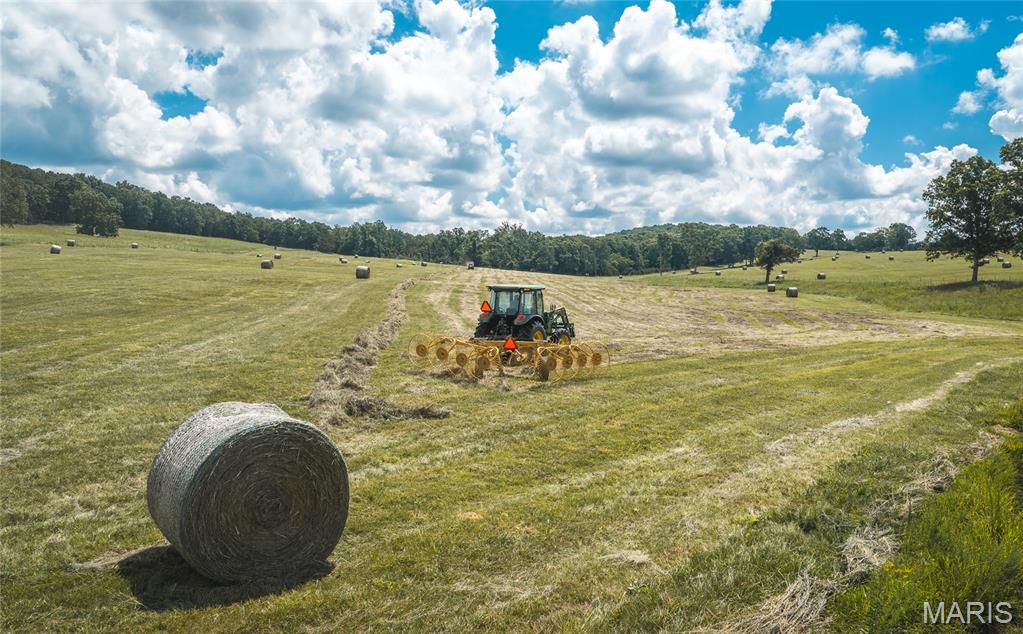 10555 Pashia Road Property Photo 65
