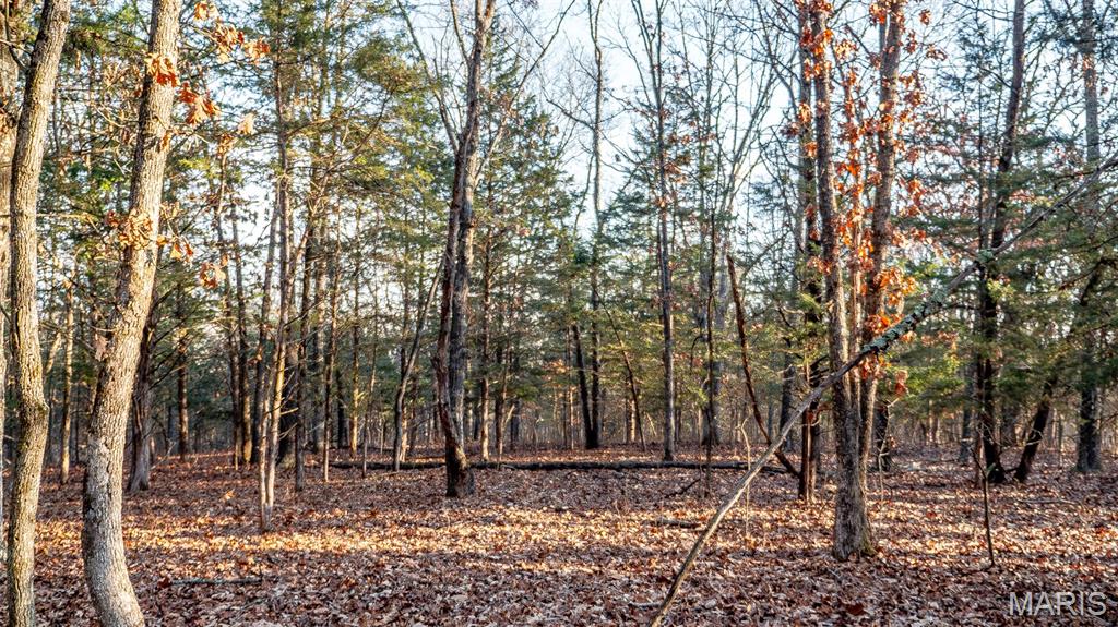 0 Hwy Cc Property Photo 17