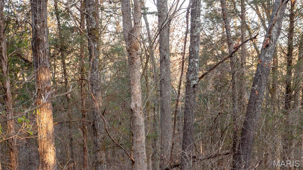 0 Hwy Cc Property Photo 21