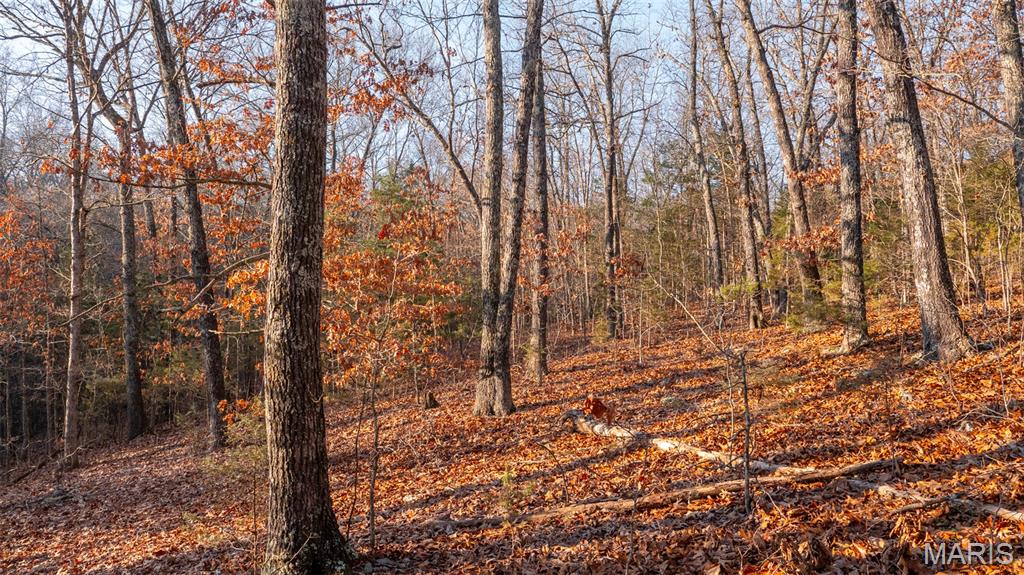 0 Hwy Cc Property Photo 33