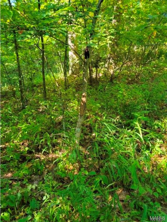 0 County Hwy 410 Property Photo 1