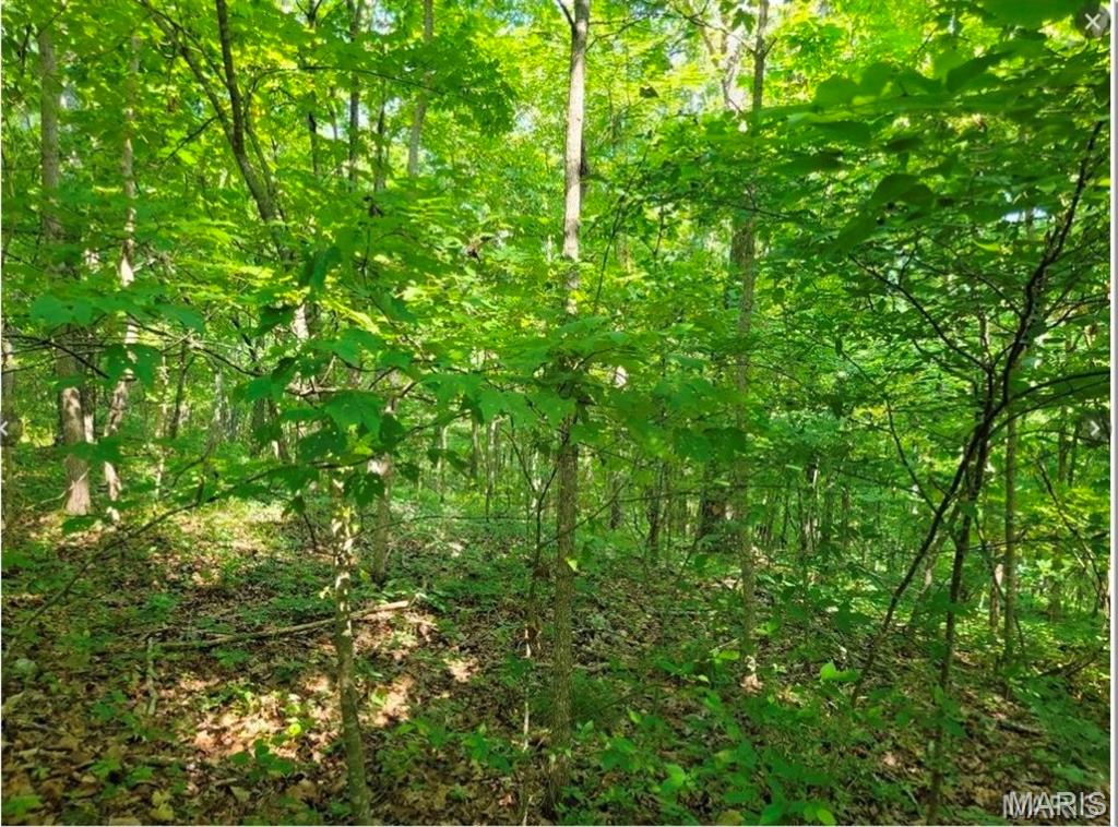 00 County Highway 410 Property Photo 1