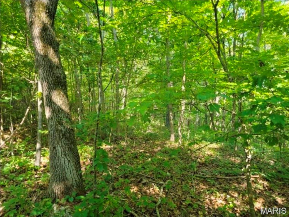 00 County Highway 410 Property Photo 2