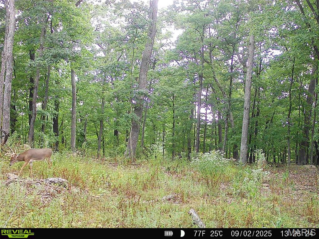 000 County Road 4055 Property Photo 3