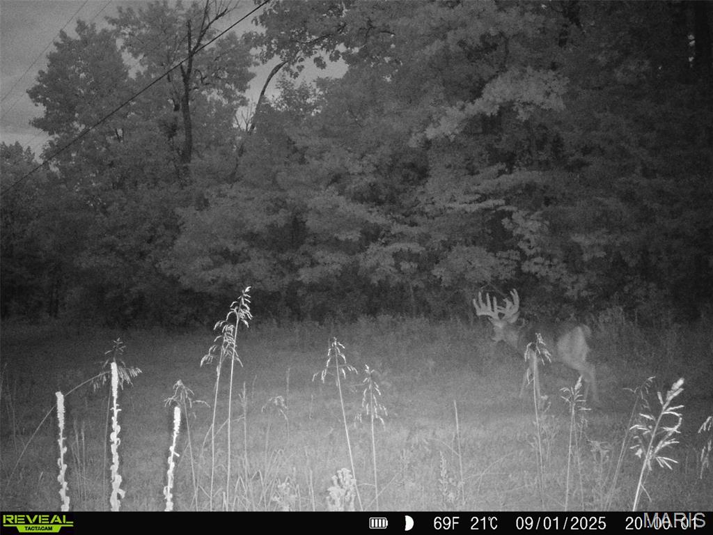 000 County Road 4055 Property Photo 4
