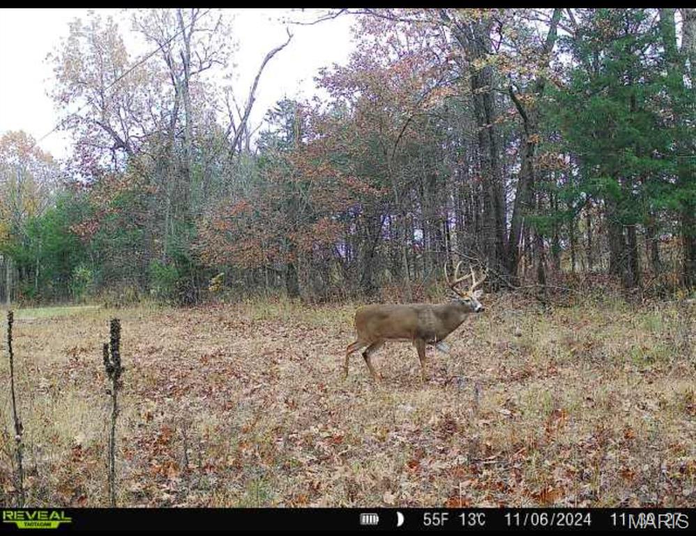 000 County Road 4055 Property Photo 22