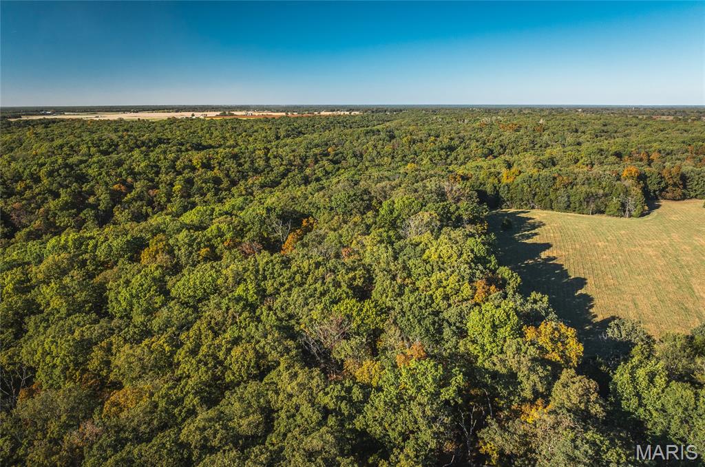 000 County Road 4055 Property Photo 25