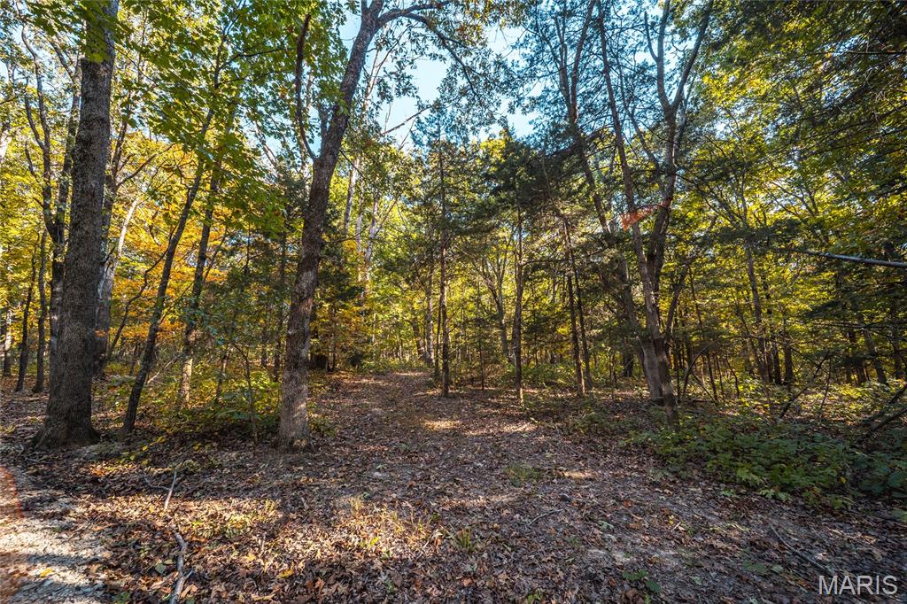 000 County Road 4055 Property Photo 45