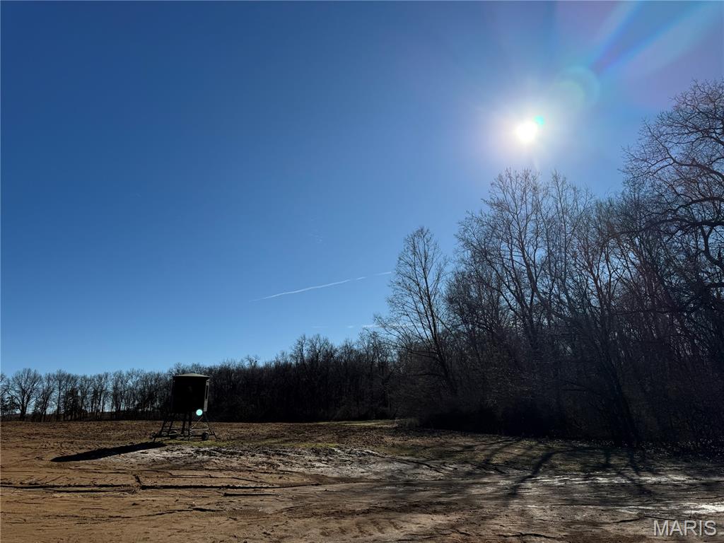 329 Timberline Ct. Lot 7 Property Photo 4