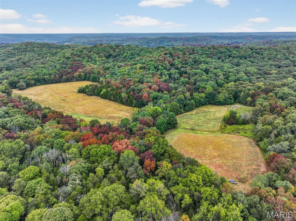 10+/-ac Lot1 Circle Acres Drive Property Photo 2