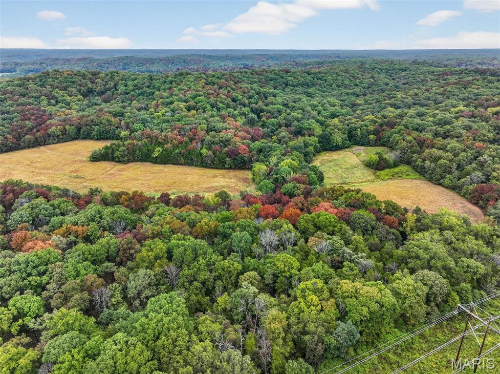 10+/-ac Lot1 Circle Acres Drive Property Photo 3