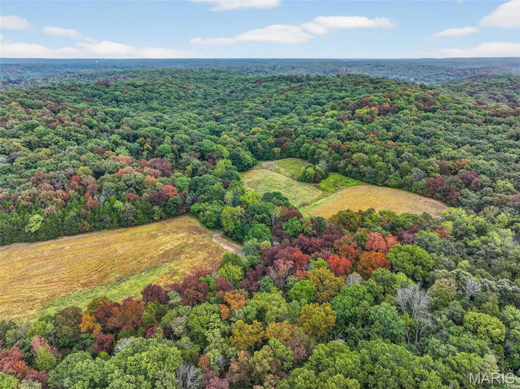 10+/-ac Lot1 Circle Acres Drive Property Photo 4