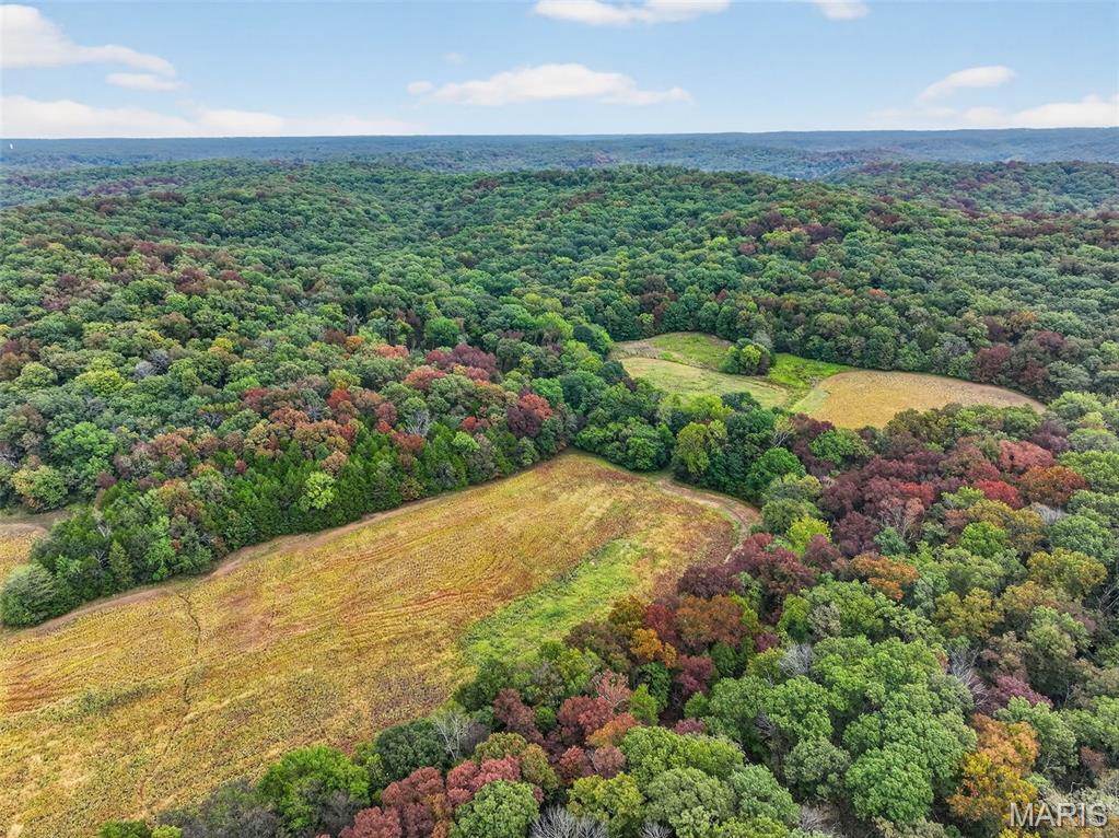 10+/-ac Lot1 Circle Acres Drive Property Photo 5
