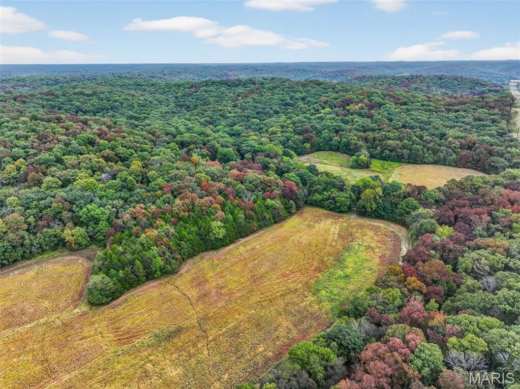 10+/-ac Lot1 Circle Acres Drive Property Photo 6