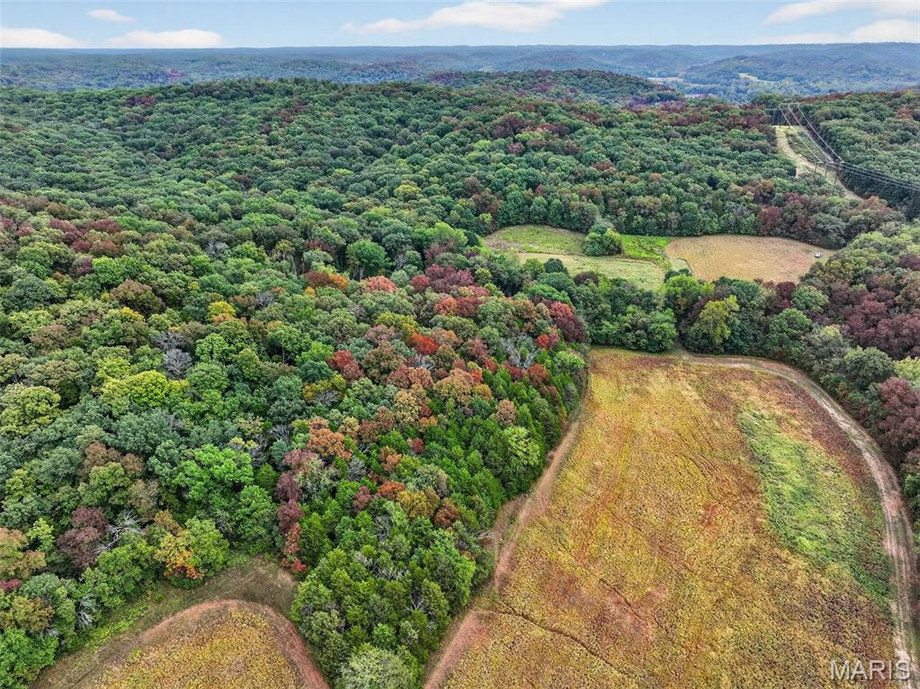 10+/-ac Lot1 Circle Acres Drive Property Photo 7