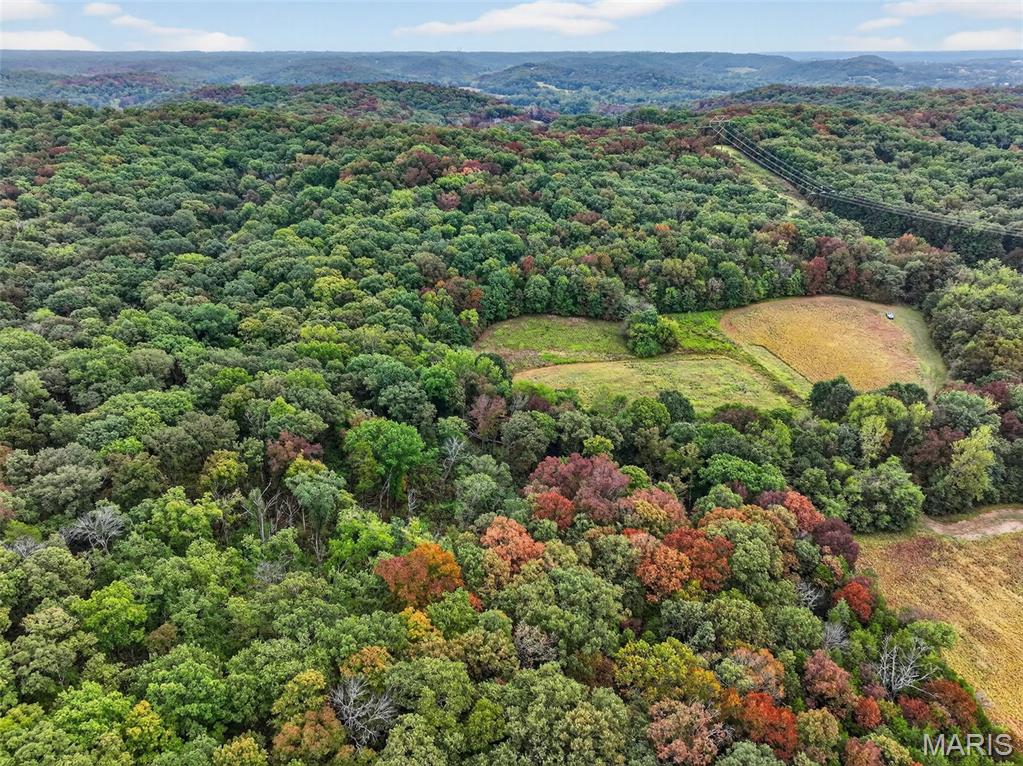 10+/-ac Lot1 Circle Acres Drive Property Photo 8