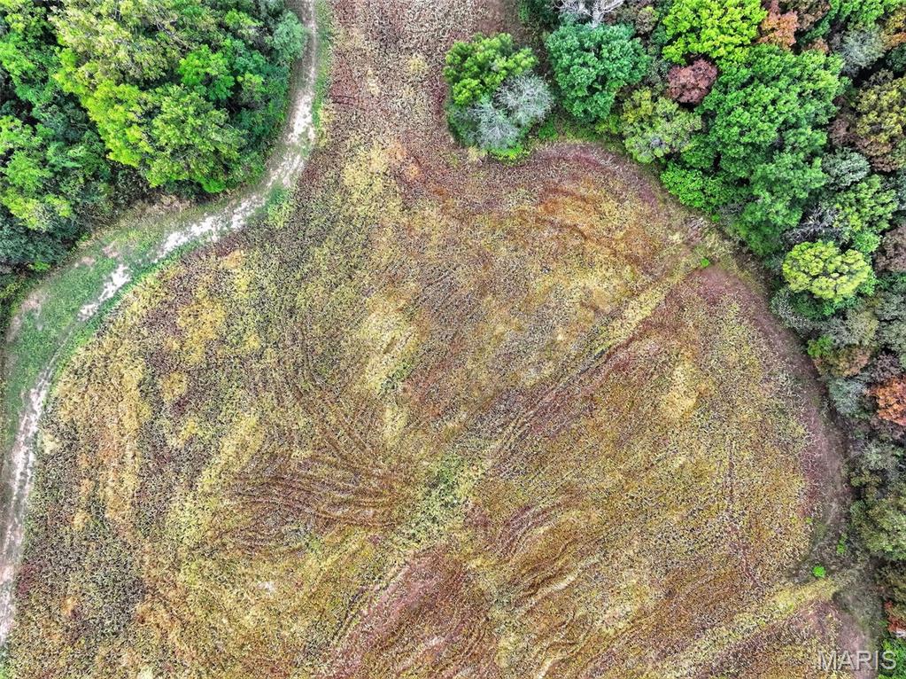 10+/-ac Lot1 Circle Acres Drive Property Photo 9