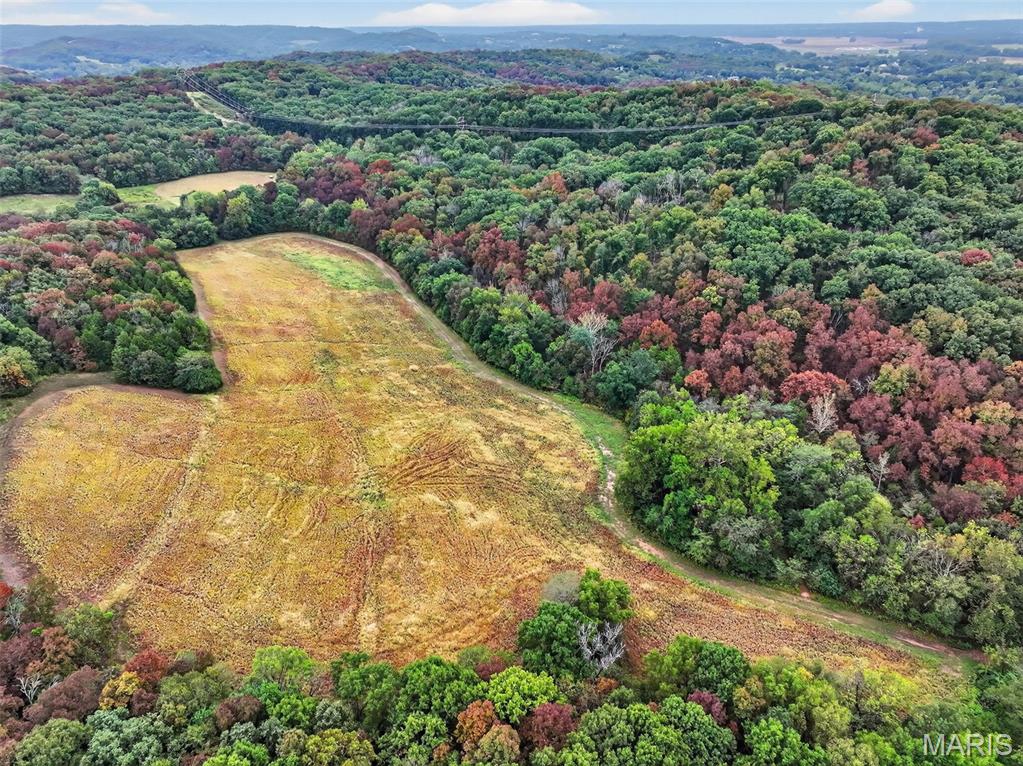 10+/-ac Lot1 Circle Acres Drive Property Photo 10