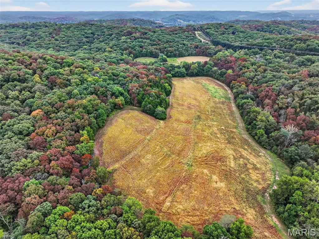 10+/-ac Lot1 Circle Acres Drive Property Photo 11