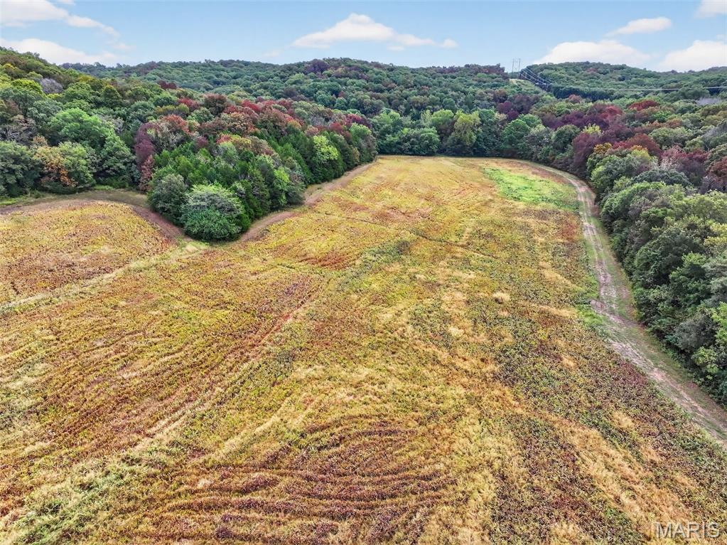 10+/-ac Lot1 Circle Acres Drive Property Photo 12