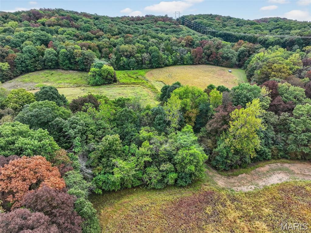 10+/-ac Lot1 Circle Acres Drive Property Photo 13
